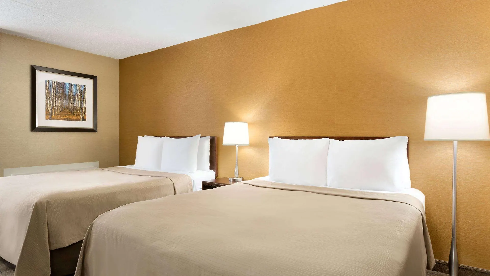 Ξενοδοχείο Travelodge By Wyndham Toronto East