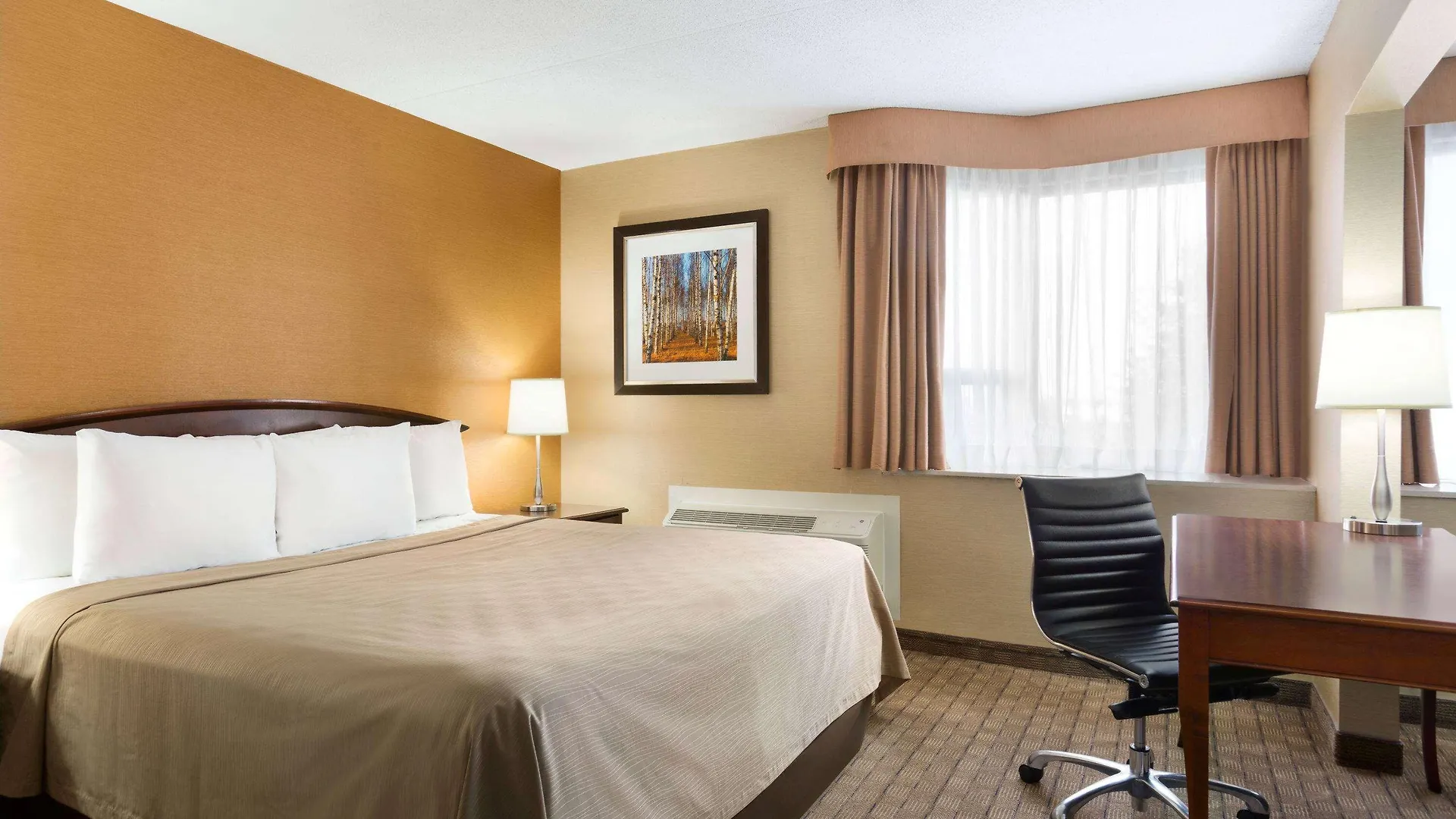 Travelodge By Wyndham Toronto East Καναδάς